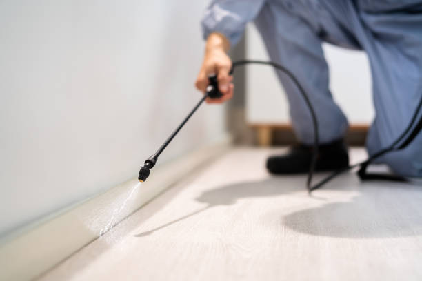 Professional exterminator conducting IPM assessment in Arapahoe